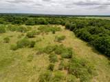 35 Acres County Road 159 - Photo 30