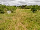 35 Acres County Road 159 - Photo 31