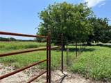 12611 Chalk Mountain Highway - Photo 7