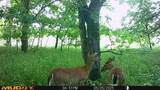 131 Dugan Chapel Rd Road - Photo 11