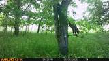 131 Dugan Chapel Rd Road - Photo 12