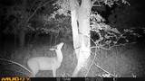 131 Dugan Chapel Rd Road - Photo 3