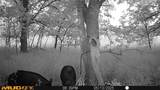 131 Dugan Chapel Rd Road - Photo 5