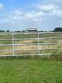 169 Novy Road - Photo 1
