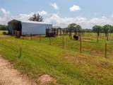 15.698 Acres Cr 2138 - Photo 16