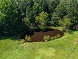 15.698 Acres Cr 2138 - Photo 9