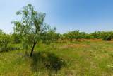 TBD County Road 152 - Photo 19