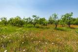 TBD County Road 152 - Photo 20
