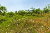 TBD County Road 152 - Photo 27