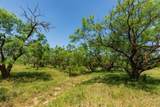 TBD County Road 152 - Photo 30