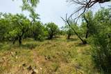 TBD County Road 152 - Photo 31