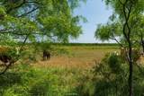 TBD County Road 152 - Photo 5