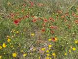 398.32 Ac Hwy 92 - Photo 27