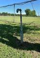 1428 Park Street - Photo 10