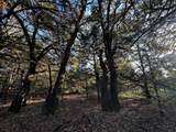 TBD County Road 2620 - Photo 18