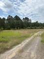 TBD County Road 425 - Photo 1