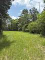 TBD County Road 425 - Photo 12