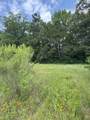 TBD County Road 425 - Photo 2