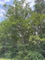 TBD County Road 425 - Photo 4