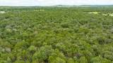 TBD County Road 109 - Photo 10