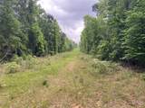 TBD Flarity Road - Photo 15