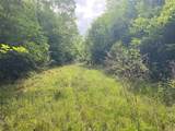 TBD Flarity Road - Photo 17