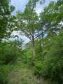 TBD Flarity Road - Photo 18