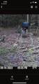TBD Flarity Road - Photo 2