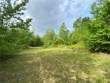 TBD Flarity Road - Photo 23