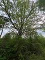 TBD Flarity Road - Photo 26