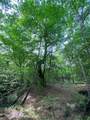 TBD Flarity Road - Photo 28