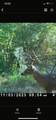 TBD Flarity Road - Photo 3