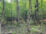 TBD Flarity Road - Photo 32