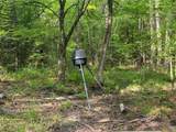 TBD Flarity Road - Photo 33