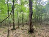 TBD Flarity Road - Photo 34