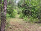 TBD Flarity Road - Photo 35