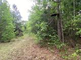 TBD Flarity Road - Photo 36