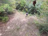 TBD Flarity Road - Photo 7