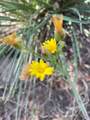 TBD Flarity Road - Photo 9