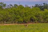 2367 County Road 311 - Photo 5