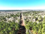 TBD Bamboo Road - Photo 25