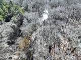 TBD Bamboo Road - Photo 31