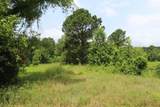 18.17 acres Cr 1190 - Photo 5