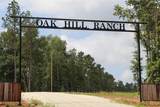 Tract 8 Oak Hill Trail - Photo 1