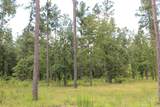 Tract 8 Oak Hill Trail - Photo 13
