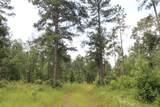 Tract 8 Oak Hill Trail - Photo 18