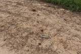 Tract 8 Oak Hill Trail - Photo 25