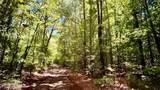 000 William Colvin Road - Photo 1