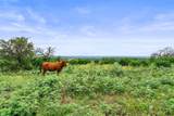101 Starhorn Road - Photo 35