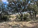 TBD Lot 240 Feather Bay Drive - Photo 4